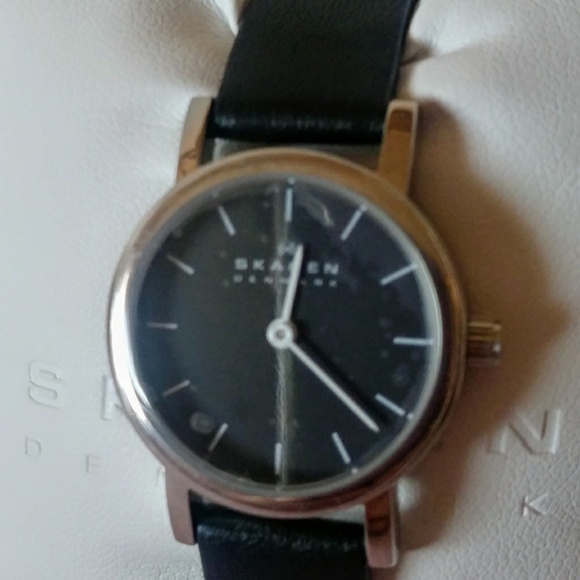 Skagen Denmark Collection Watch